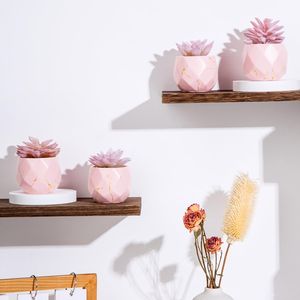 4 Vasi in Ceramica Rosa con Piante Succulente Artificiali, Graziose Piante Finte per Decorazione di Ufficio, Bagno, Cucina, Camera da Letto - Product Image 3