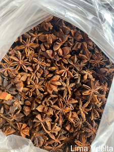 Anis étoilé entier séché en vrac de qualité supérieure du Vietnam, certifié HACCP ISO, vente en gros pour les marchés internationaux - Mme Lima - Product Image 3