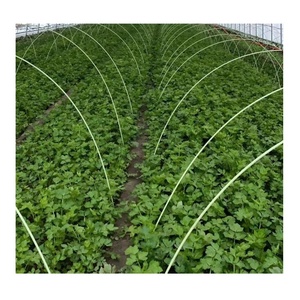 Bâton en FRP haute résistance, tige en fibre de verre pour usage agricole - Product Image 3