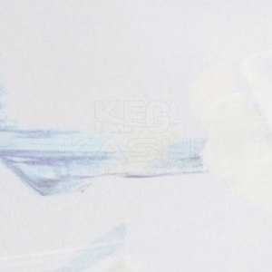 Pakistan Manufactured Women <b>Legging</b> with Elastic Waist Solid <b>Pattern</b> Mid Rise-Built for Fitness Training Yoga & Active Movement - Product Image 6