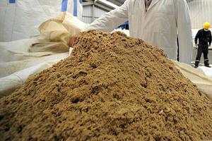 Trusted 55% Protein Fish Meal Ingrédient alimentaire supérieur pour une conversion améliorée des aliments Gain de poids chez les animaux Cheval et cochon Sacs de 50kg - Product Image 3