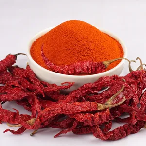 Poudre de piment rouge séché premium biologique, épice fraîche et épicée pour une couleur intense, une saveur audacieuse, un goût authentique, export en vrac, Desi - Product Image 3