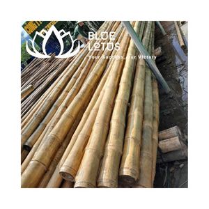 เสาไม้ไผ่ดิบคุณภาพสูง เป็นมิตรกับสิ่งแวดล้อม สำหรับใช้ทางการเกษตร - Product Image 1