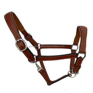 High Quality 100% Cow <b>Leather</b> Horse Equipment Black <b>Leather</b> Horse <b>Halter</b> with Stainless Steel Hardware <b>Top</b> Equestrian Product - Product Image 2