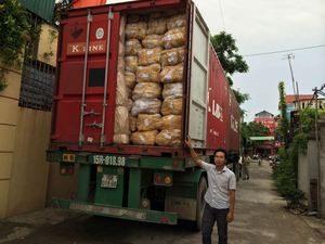 เก้าอี้หวายแบบเรียบสำหรับเฟอร์นิเจอร์ทำสายรัดและอุปกรณ์งานฝีมือจากธรรมชาติแบบเวียดนาม - Product Image 4