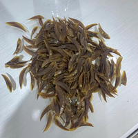 Fournisseur mondial d'opercules naturels, opercules de marque Viet Delta provenant de sources durables, emballées en boîte.