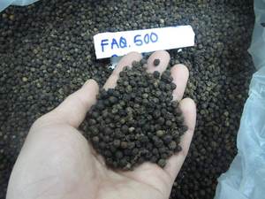 Poivre noir séché de haute qualité 5 mm 500 g certifié ASTA Marque Agrikim Binh Phuoc Prix bas +84 326055616 Mme Camie - Product Image 2