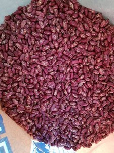 Frijoles Rojos Moteados Secos Orgánicos a Granel 25 kg - Product Image 5