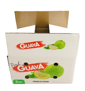 OEM 5-Layer Printed Offset Recycled Paper Self Erecting <b>Boxes</b> for Fruit Packaging Air Sea Express Shipping Agriculture Use - Product Image 1