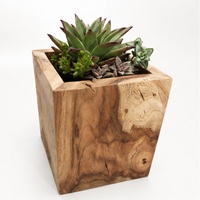 Jardinière en bois de teck faite à la main, écologique, pour plantes succulentes, pot de fleurs carré en bois massif naturel, décoration de jardin intérieur/extérieur, pour table