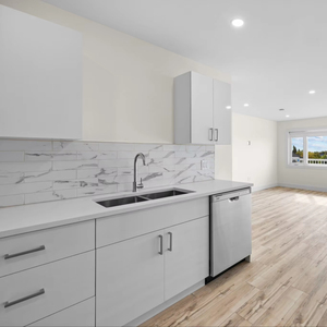 Home WIT PRODUCE RTA 20250124 Modern Solid <b>Pine</b> Wood Ceramic Kitchen <b>Cabinets</b> Flat Wall Door Frame Panel Water Resistant Easy - Product Image 1