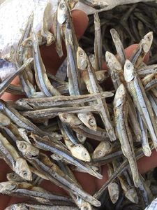 Anchois séchés vietnamiens au meilleur prix de chez Blue Lotus – Qualité supérieure pour les collations et les plats savoureux - Product Image 6