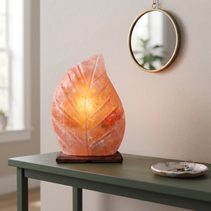 Handmade Himalayan Salt <b>Leaf</b> Shaped Lamp Unique Natural Mineral Accent <b>Light</b> for Living Room Styling Office Decor - Product Image 4