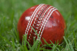 ลูกคริกเก็ต Best Logo RX Sports แบบแข็ง เย็บมือคุณภาพพรีเมียม เป็นมิตรกับสิ่งแวดล้อม ทนทาน ใช้ได้ทั้งมือซ้ายและขวา - Product Image 2