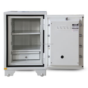 Caja Fuerte Ignífuga, Fabricantes y Proveedores de Dortmund, Alemania - Product Image 4