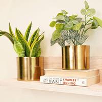 Support de plante en acier inoxydable doré de haute qualité, durable, pour intérieur/extérieur, élégant, décoration de jardin, respectueux de l'environnement, nouveau modèle