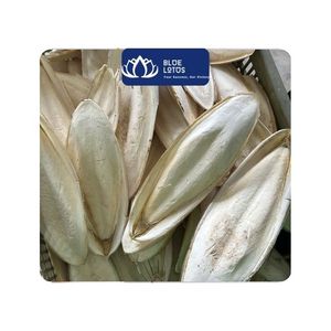 [DISPONIBLE] |   Hueso de Sepia para Aves de Compañía, Alimentación Diaria y Accesorios para Jaulas, Ninh Thuan, 100% Natural, Alto en Proteínas - Product Image 1