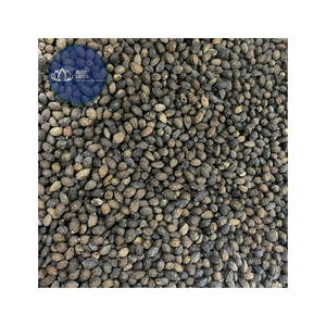 [HAUTE QUALITÉ] |   Tranches de corossol séché moelleuses et croquantes, collation pour la consommation quotidienne, desserts et pâtisseries, vente en gros, Dak Lak, Vietnam - Product Image 1