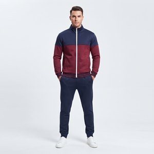 Ensemble de survêtement pour homme à capuche uni, veste de sport zippée et pantalon de jogging, 2 pièces, vêtements de sport décontractés - Product Image 1
