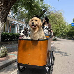 Bakfiet électrique à 3 roues vélo cargo à trois roues vélo cargo électrique adulte avec panier pour chien - Product Image 6
