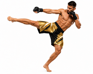 Shorts d'entraînement de combat MMA personnalisés 2026 – Impression par sublimation, extensibles, légers, respirants, 100 % polyester - Product Image 1