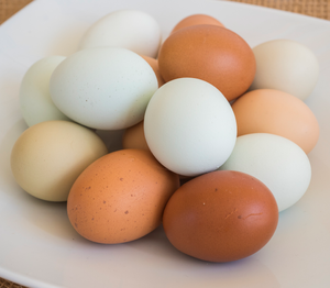 ไข่ไก่สดคุณภาพดีสีน้ำตาล แช่เย็นเก็บได้ 90 วัน ราคาถูก ขายส่ง ลดราคาพิเศษ - Product Image 4