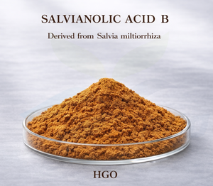 Suministro directo de fábrica HGO de extracto de Salvia miltiorrhiza natural puro (grado alimenticio saludable) Especificación ácido salvianólico B 1% - Product Image 4