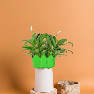 Maceta de plástico para colgar café, maceta de flores decorativa para jardinería interior y exterior - Product Image 6