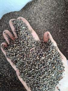 Pimienta Negra Vietnamita Pinhead de Alta Calidad, Binh Phuoc, 50 kg, 2 Años de Duración, Gran Cantidad, Venta al por Mayor, Calidad de Exportación, Ms. Sophie - Product Image 4