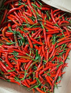 Chiles picantes enteros sin tallo, chiles picantes premium, chiles congelados para venta al por mayor, chiles rojos congelados IQF - Product Image 1