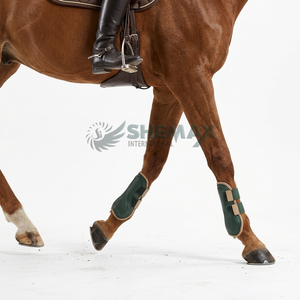 Bottes de brossage pour chevaux modernes, alliant confort, amorti, construction durable et fermeture sécurisée pour les écoles d'équitation - Product Image 3