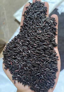 Riz noir vietnamien à grains longs de qualité supérieure, naturel, à grains entiers, riche en fibres, antioxydant, pour une alimentation saine, export en vrac, récolte 2025 - Product Image 6