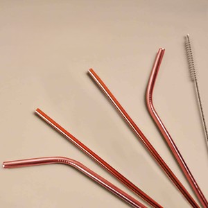 Ensemble de pailles en acier inoxydable écologiques réutilisables, droites et courbées - Product Image 4