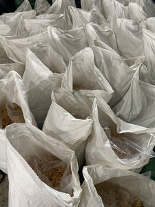 Musgo Marino Dorado Seco y Sazonado Orgánico/Musgo Irlandés AD Ms. Lily - Product Image 6