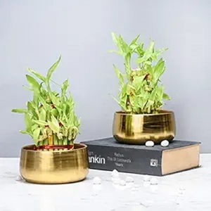 High Demand Gold <b>Copper</b> Iron Floor Tabletop Decorative <b>Vases</b> Wholesale Fancy Home Decor Metal Flower <b>Vase</b> Living Room Bedroom - Product Image 2