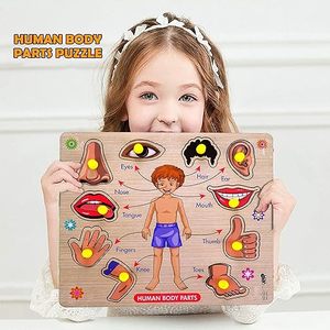Rompecabezas de partes del cuerpo, juguetes de madera para niños mayores de 3 años, rompecabezas para adultos, juguetes de aprendizaje para bebés, juguetes educativos para niños de 2 años, juego de mesa - Product Image 4
