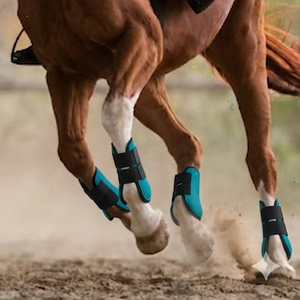 Ensemble de protections tendineuses et de protection de la cheville pour l'équitation, en néoprène rembourré de 6 mm et caoutchouc. Botte à double sangle élastique absorbant les chocs - Product Image 4