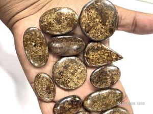 Bronzite naturelle, pierres précieuses brutes, cabochons, formes et tailles variées, environ 20 à 30 mm - Product Image 5