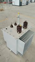 Cortacésped de 630 Kil Il IL-il mmersed ranransformer opopper lumluminum High ololtage REE tree-Hase 250/400K110 V ututput 60Hz