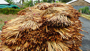 เชือกผักตบชวาธรรมชาติเวียดนามเวียดเดลต้า สำหรับทำตะกร้า งานฝีมือ เฟอร์นิเจอร์ ของใช้ในบ้าน - Product Image 6