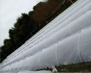 Fiberglass <b>Rod</b> for Agricultural Vineyard Grape Stake - Product Image 5
