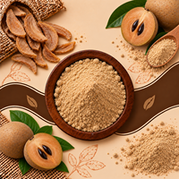 Bubuk Buah Sapodilla Alami (Chikoo) Kualitas Makanan, Kering, untuk Minuman, Kue, Makanan Penutup, Permen, Pengolahan Makanan ELIXIRA