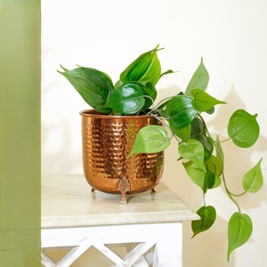 Pot de fleurs décoratif moderne en métal, pot à fleurs en fer pour plantes d'intérieur, salon, balcon, jardin - Product Image 4