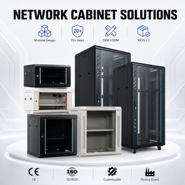 19 Inch SPCC Steel Wallmount Network Cabinet Server Rack IP20 Protection with Tempered Glass Door for Data Center OEM ODM