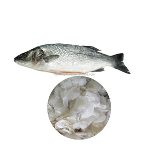 hot selling mekong dried ossein fish scales for food industries