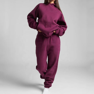 Conjunto de Ropa Deportiva Cálida de Color Sólido para Hombre y Mujer, Conjuntos de Ropa de Otoño e Invierno para Mujer, Sudadera con Cierre y Cuello Alto, Pantalones, Conjuntos Deportivos Cálidos - Product Image 4