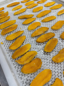 Rodajas de mango seco premium de Vietnam, tamaño de 4 a 8 cm, suaves y masticables, listas para comer, refrigerio, fruta, comida. - Product Image 5