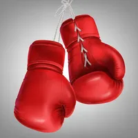 Porte-clés mini-gants de boxe personnalisés avec logo imprimé, fabriqués en cuir, mini-gants de boxe pour voiture, mini-gants de boxe promotionnels