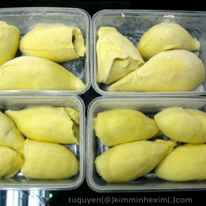 Polpa de Durian Congelada IQF Natural Sin Semillas, Origen Vietnam, a Granel - Product Image 4