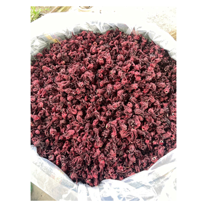 ชาชงดอกชบา ยี่ห้อ Hibiscus บรรจุ 100 ซอง ปราศจากคาเฟอีน ชาดอกไม้บรรจุซอง รับผลิตแบรนด์ส่วนตัว (OEM) บรรจุภัณฑ์จากเวียดนาม - Product Image 2